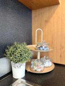 a potted plant sitting on a counter next to a shelf at Apartment Tina - Old Town, Free Private Parking in Bratislava