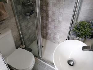 y baño con aseo, ducha y lavamanos. en Casa Paraiso en Almería