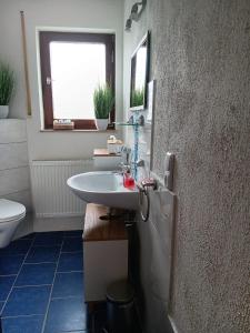 uma casa de banho com um lavatório e um WC em Ferienwohnung Hofmann em Freudental
