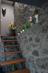 Fotografie z fotogalerie ubytování Casa do Lombo v destinaci Machico