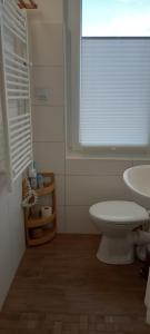 un bagno con un water, un lavandino e una finestra di Ferienhaus Loissin a Loissin Altre 11 foto