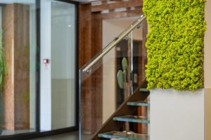 un conjunto de escaleras con plantas verdes. en Best Western Plus Hotel De Capuleti, en Verona