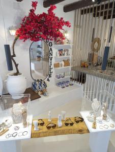 un esposizione di un negozio con occhiali e un vaso con fiori rossi di Camares ad Alopronia