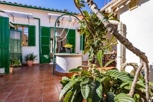 a house with green shutters and a courtyard with plants at Casa Vileta in Palma de Mallorca