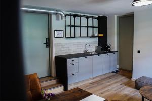een keuken met een wastafel en een aanrecht bij Boetiekhotel Ons Oude Raadhuis digitaal inchecken in Hooge Zwaluwe