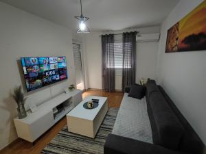 Телевизия и/или развлекателен център в Apartman Centar
