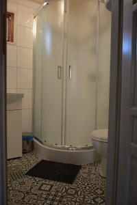 ein Bad mit einer Dusche und einem WC in der Unterkunft Domki na Mazurach - Rybical 65 in Ryn