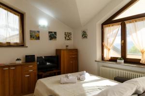 um quarto com uma cama, uma televisão e uma janela em Sarre Skyline Apartment - Relax in Valle d'Aosta em Aosta