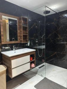 a bathroom with a shower with a sink and a glass shower door at Appartements Guéliz Zerktouni in Marrakech +11 photos