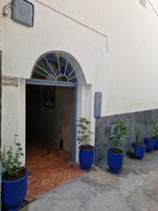 a group of potted plants sitting outside of a building at L'Oum Errebia in Azemmour