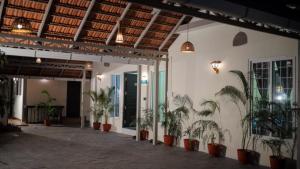 un grupo de plantas en macetas en un edificio en Jonirene Seasands, en Alleppey 17 fotos más