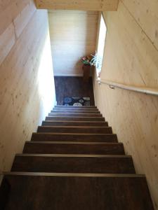 a set of stairs leading up to a tiny house at Ferienwohnung Am Roten Berg in Peiting