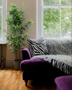 a living room with a purple couch and a window at Spacious & stylish 1-bed flat in Primrose Hill in London
