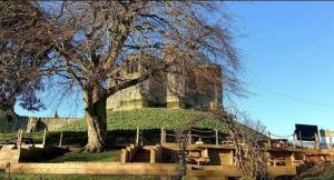 un árbol sentado en la parte superior de un edificio con escaleras en The Sun Hotel, en Warkworth