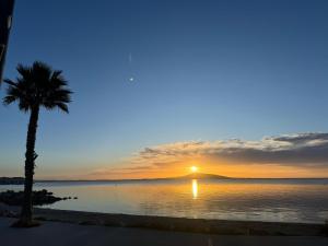 una palmera en la playa con puesta de sol en Bono plages récemment rénové février 2024, en Mèze