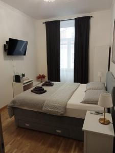 een slaapkamer met een groot bed en een televisie bij Fenix Rooms in Trieste