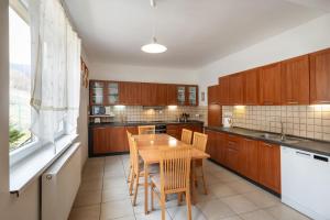 Kuchyň nebo kuchyňský kout v ubytování VILLA SVORAD - Prosiecka dolina