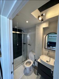a bathroom with a toilet and a sink and a shower at Primrose Hill Apartment with Balcony in London