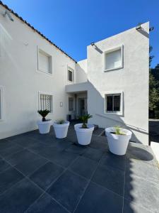 a patio with white walls and white pots with plants at Hôtel du Rocher in Marseille +15 photos