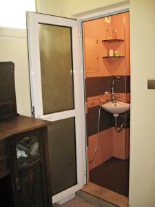 een badkamer met een glazen deur naar een wastafel bij Maritsa River Apartment in Plovdiv
