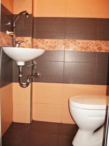 een badkamer met een wastafel en een toilet bij Maritsa River Apartment in Plovdiv +10 foto's