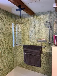 bagno con doccia e pareti verdi piastrellate di Alpen Oase Natur a St. Gallen