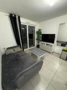 TV a/nebo společenská místnost v ubytování Cosy Appartement