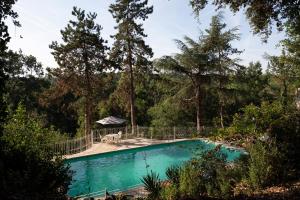 a swimming pool in the middle of a forest at Enjoy spring at Chateau de Monbrison, apartment for four guests in Saint-Michel