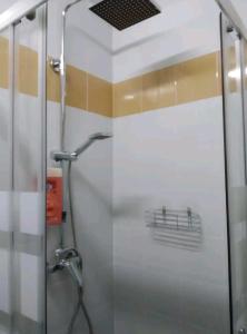 y baño con ducha y puerta de cristal. en Loft Puente Romano, en Salamanca