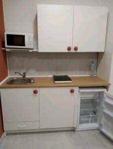 una pequeña cocina con fregadero y microondas en Loft Puente Romano, en Salamanca