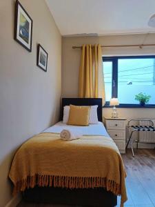 a bedroom with a bed with a large window at Dingle Atlantic Lodge B&B in Dingle