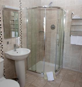 y baño con ducha y lavamanos. en Knightsbrook Hotel Courtyard Accommodation en Trim
