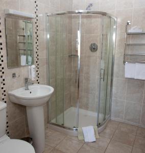 een badkamer met een douche en een wastafel bij Knightsbrook Hotel Courtyard Accommodation in Trim