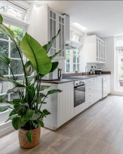 a kitchen with white cabinets and a potted plant at Sunlit Family Home in Hampstead in London