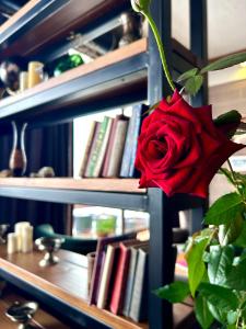 a red rose is hanging from a book shelf at Alpine Lounge Kazbegi in Stepantsminda