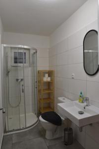 y baño con ducha, aseo y lavamanos. en Vila Vlaštovka en Bulhary