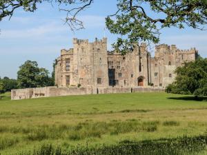 an old castle on a grassy field at The Barn in Bishop Auckland