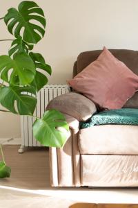 a couch with pillows and a plant in a living room at Studio Cabin in Belfast in Belfast