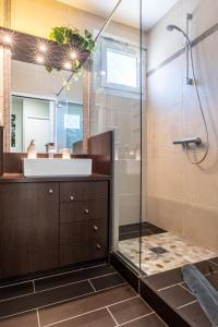 La salle de bains est pourvue d'une douche et d'un lavabo. dans l'établissement La Belle Vue : Duplex avec Terrasse,Jardin,Parking, à Annecy
