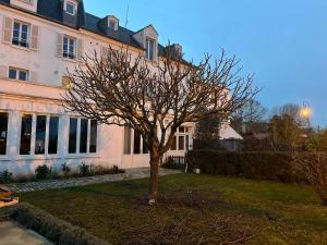 un árbol en un patio frente a un edificio en appartement lumineux, en Montfort-lʼAmaury