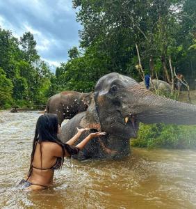 a woman in the water with an elephant in the water at wild park safari home stay in Udawalawe