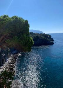 un'isola nell'oceano con alberi e acqua di La Casa di Samantha a Villa Regina a picco sul mare con piscina a Pieve Ligure