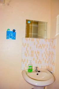 een badkamer met een wastafel en een spiegel bij The Bay House in Homa Bay