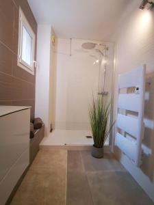 La salle de bains est pourvue d'une douche et d'une plante en pot. dans l'établissement Appartement 90 m2 avec parking terrasse balcons, proche du port et plages, à Arcachon