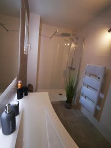 La salle de bains est pourvue d'une douche et d'un lavabo blanc. dans l'établissement Appartement 90 m2 avec parking terrasse balcons, proche du port et plages, à Arcachon