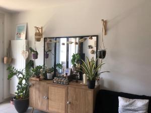 un miroir au-dessus d'une commode en bois avec des plantes dans l'établissement Appartement avec jardin et terrasse couverte, à Voreppe