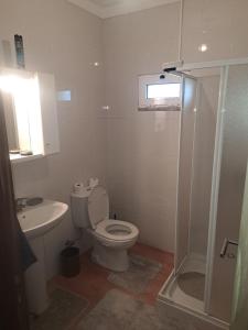 ein Bad mit einem WC, einem Waschbecken und einer Dusche in der Unterkunft Maisons de village in Santo Aleixo de Além Tamega