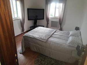 Schlafzimmer mit einem Bett und einem Flachbild-TV in der Unterkunft Maisons de village in Santo Aleixo de Além Tamega