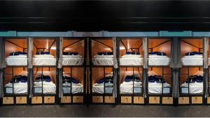 תמונה מהגלריה של Capsuleaccom Hostel בגולד קוסט