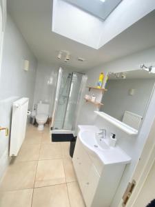 La salle de bains est pourvue d'un lavabo, d'une douche et de toilettes. dans l'établissement Chambre/ maison / Zaventem, à Zaventem
